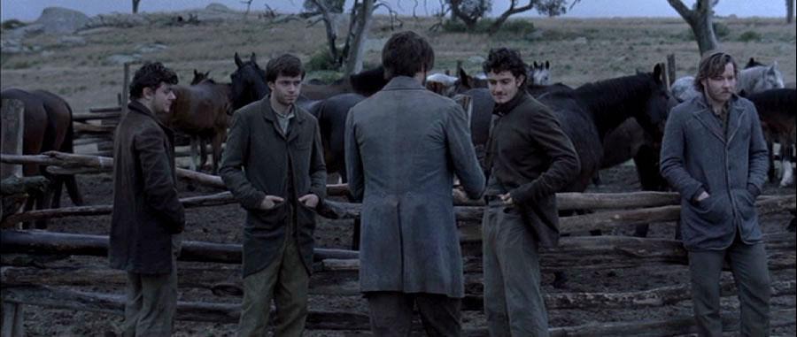 horses